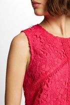 Straight mini lace dress raspberry women
