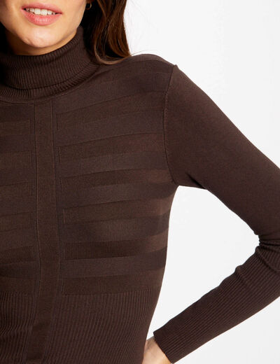 Long-sleeved jumper turtleneck dark brown ladies'