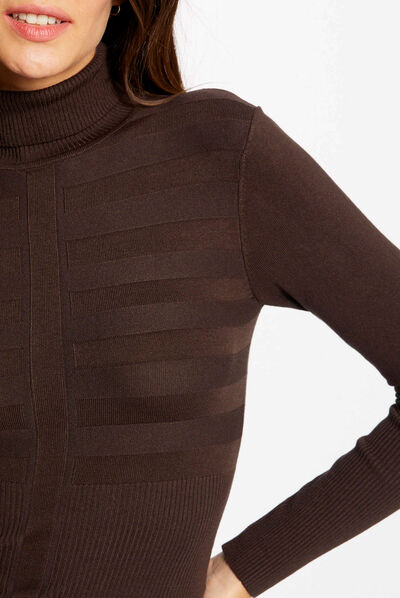Long-sleeved jumper turtleneck dark brown ladies'