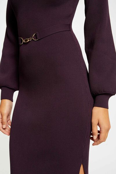 Fitted maxi jumper dress with ornament plum ladies'