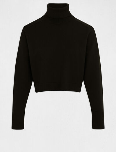 Long-sleeved jumper with turtleneck black ladies'