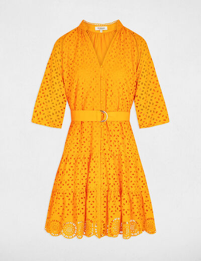 Embroidered A-line mini dress orange women