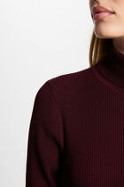 Mini skater 2 in 1 dress plum women