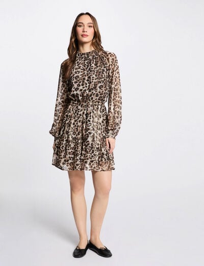 Printed mini straight dress multicolor women