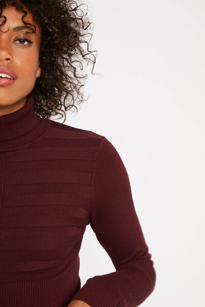 Long-sleeved jumper turtleneck dark purple ladies'