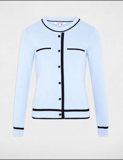 Jumper round neck long sleeves sky blue women