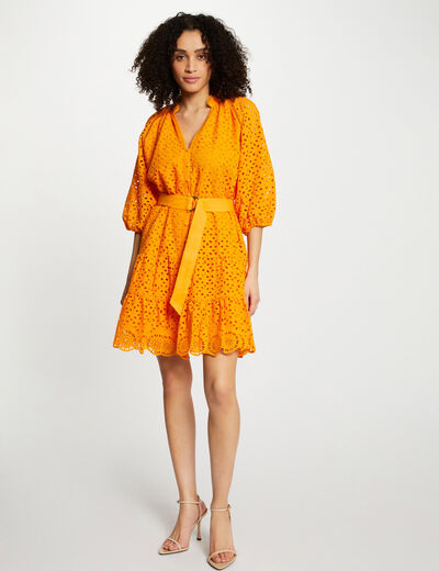 Embroidered A-line mini dress orange women