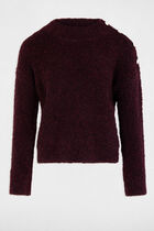 Jumper high collar and buttons plum women