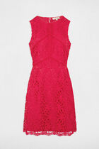 Straight mini lace dress raspberry women