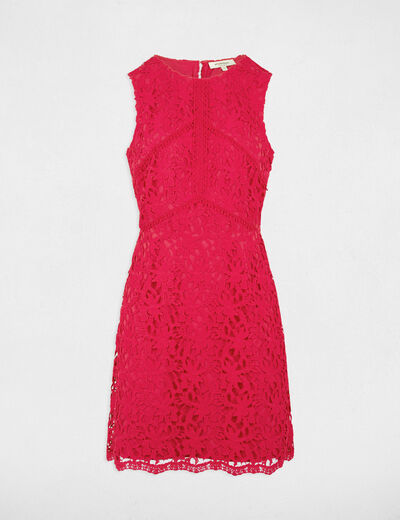 Straight mini lace dress raspberry ladies'