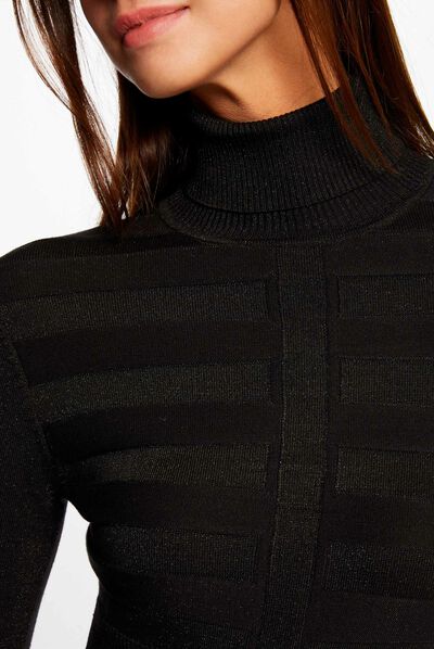 Long-sleeved jumper with turtleneck black ladies'