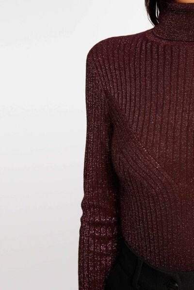 Long-sleeved jumper with turtleneck plum ladies'