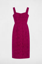 Embroidered lace sheath dress plum women
