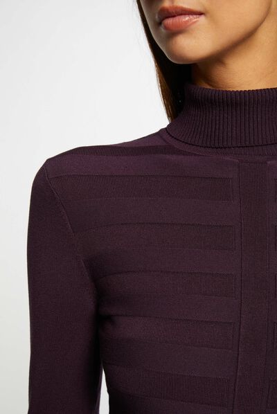 Long-sleeved jumper turtleneck purple ladies'
