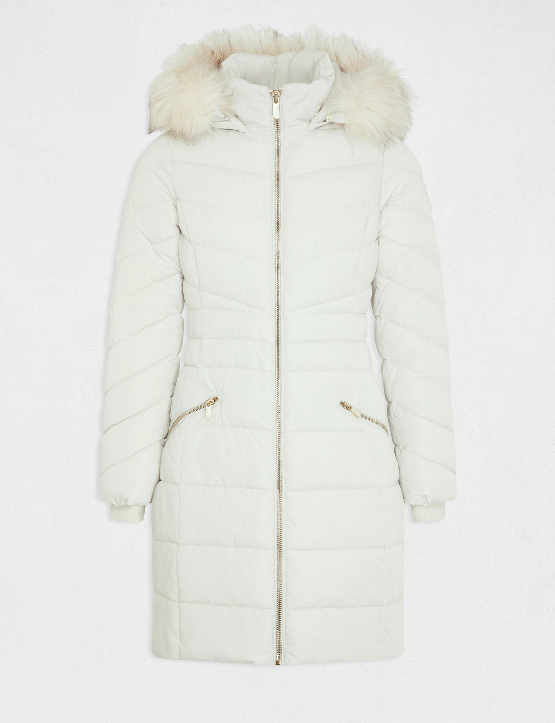 Long waisted padded jacket with hood ivory ladies Morgan